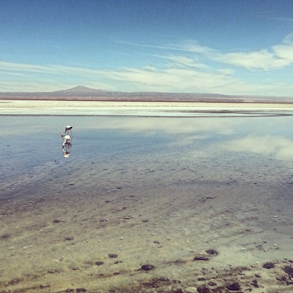 Salar de Atacama