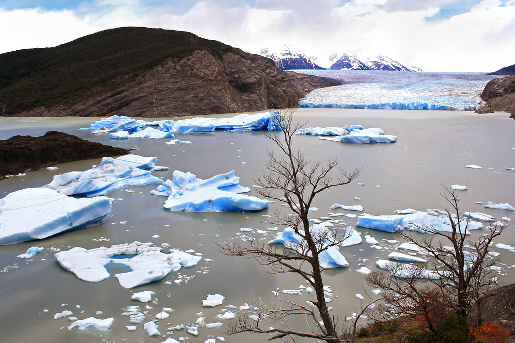 Grey Glacier